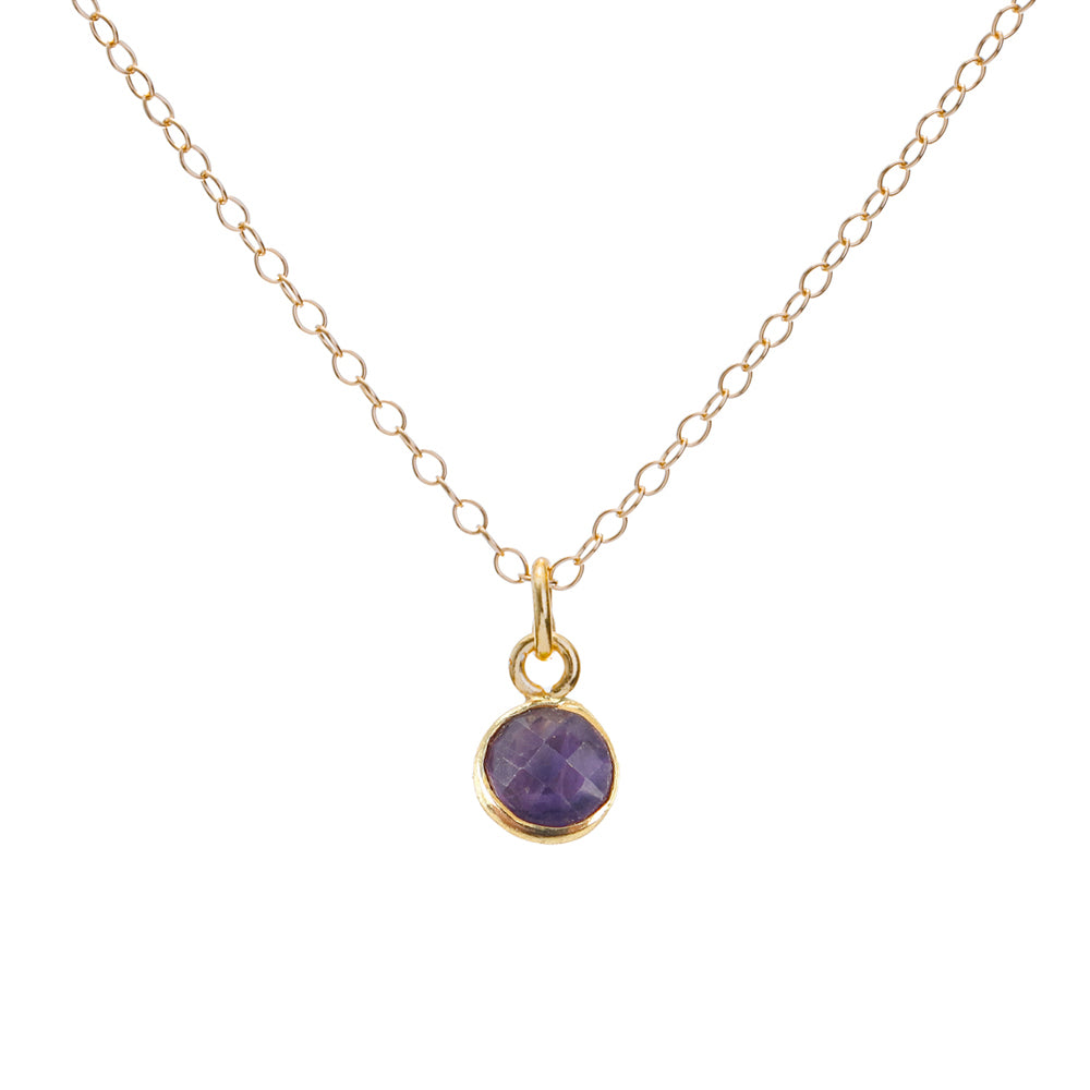 Gold Amethyst February Birthstone Necklace