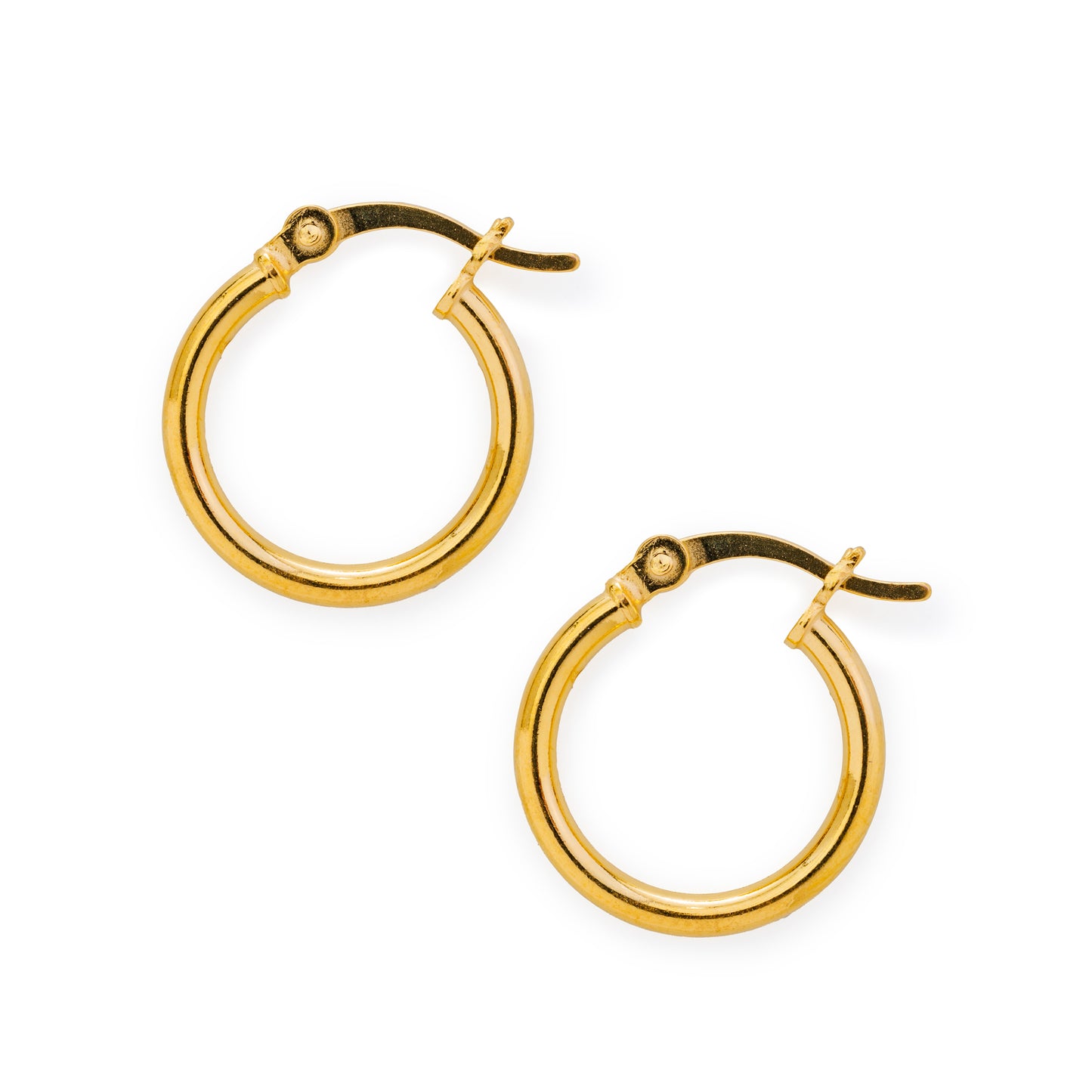 Gold Hinged Hoop Earrings