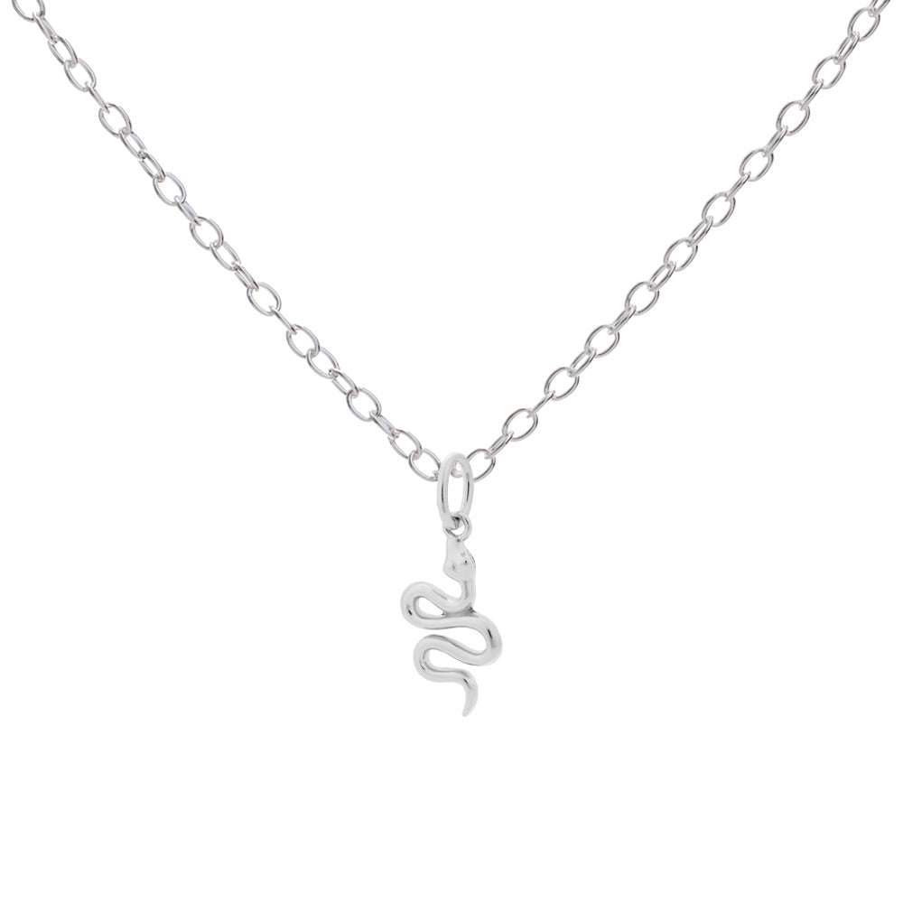 Silver snake pendant necklace on a white background
