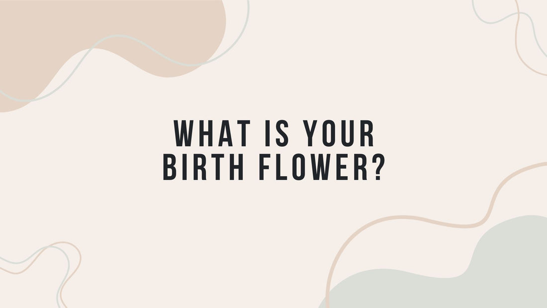 Birth Flower Meanings