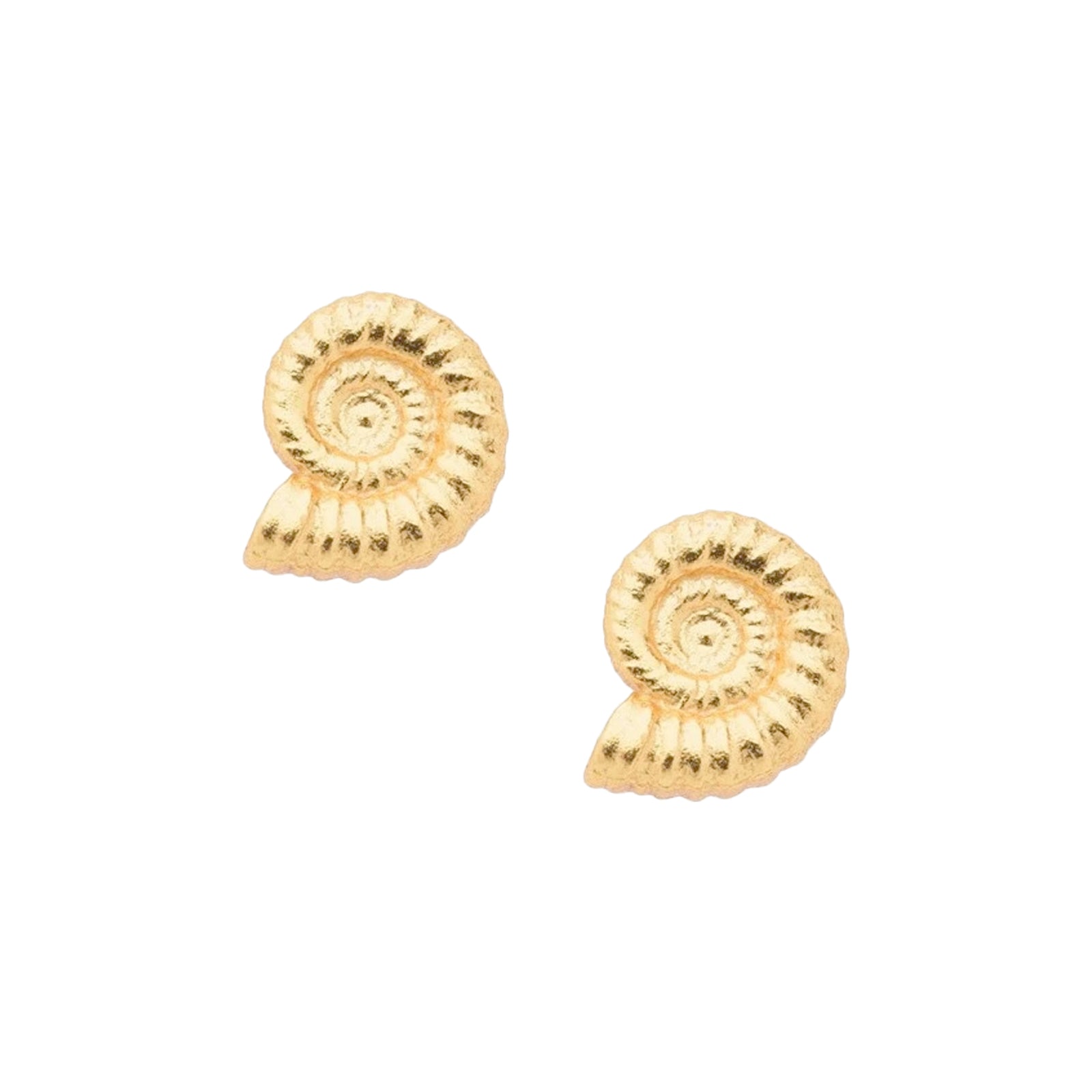 Gold Ammonite Stud Earrings