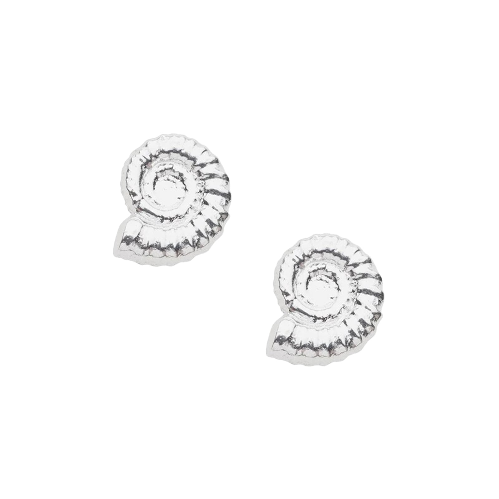Silver Ammonite Stud Earrings