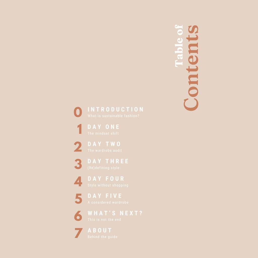 Table of contents for a book on a beige background