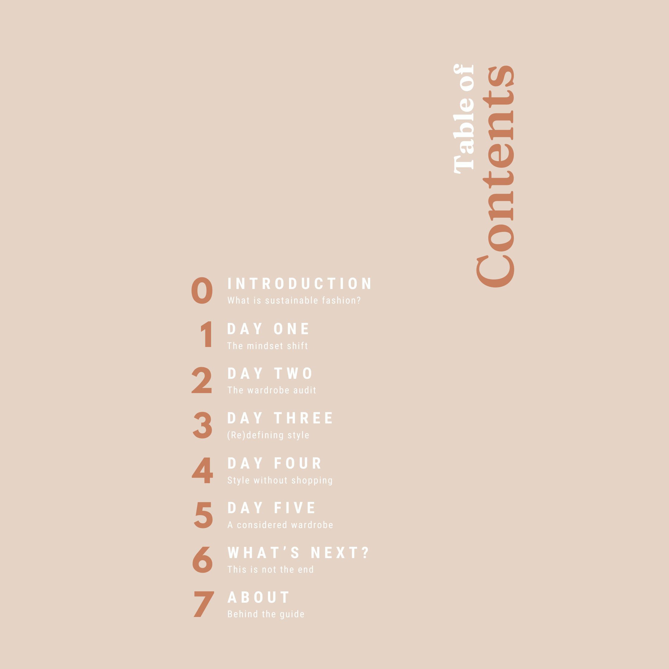 Table of contents for a book on a beige background