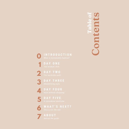 Table of contents for a book on a beige background