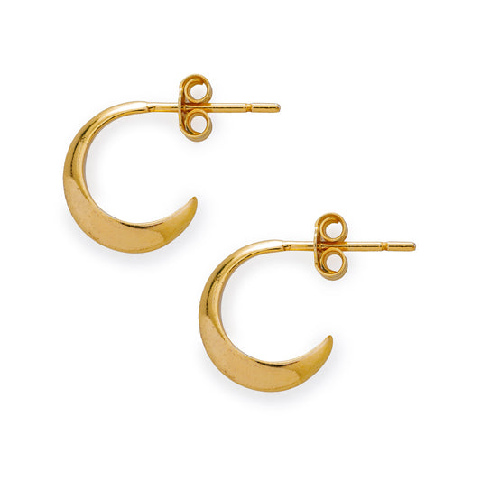 Gold Crescent Hoop Earrings