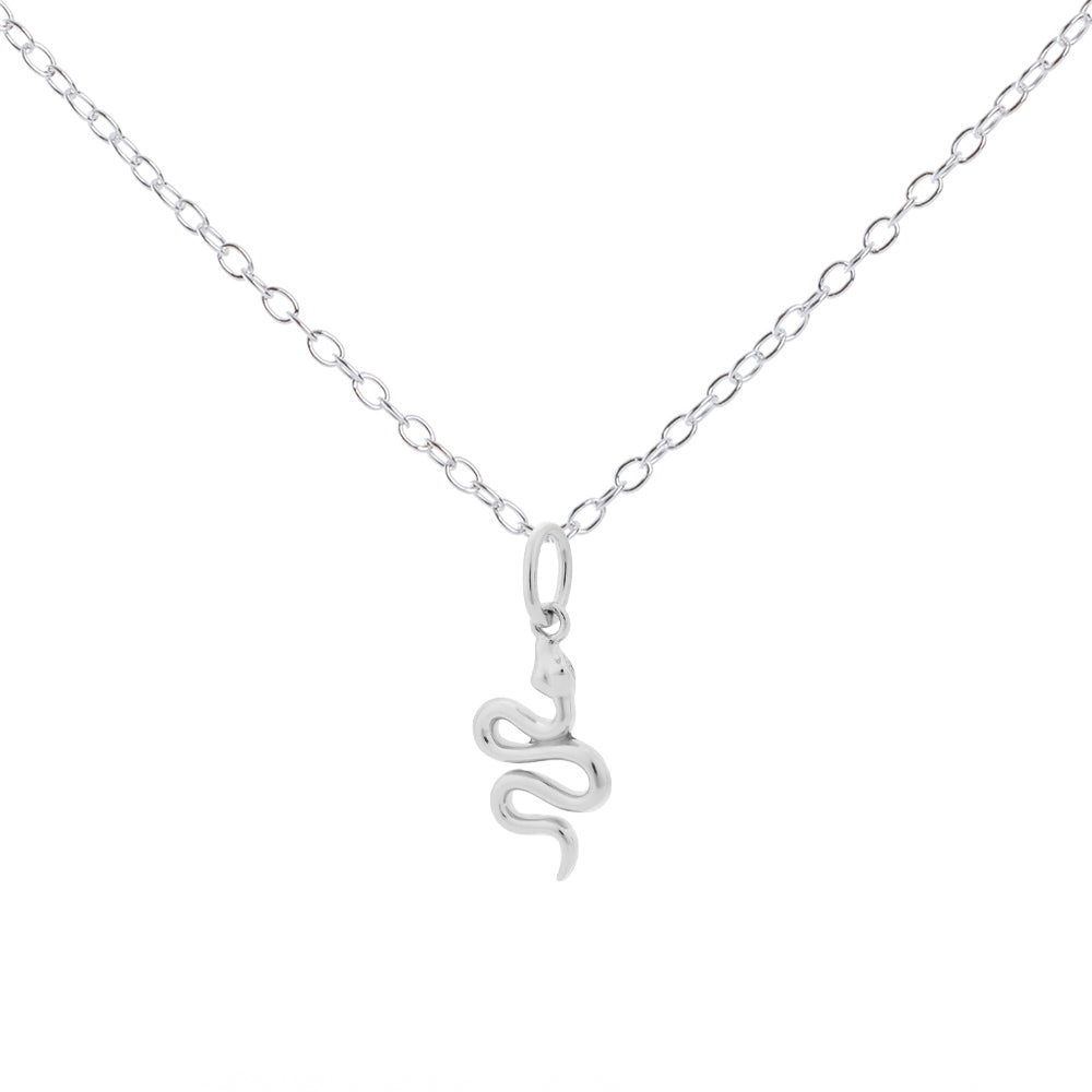Silver snake pendant on a chain against a white background