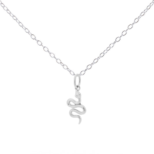 Silver snake pendant on a chain against a white background