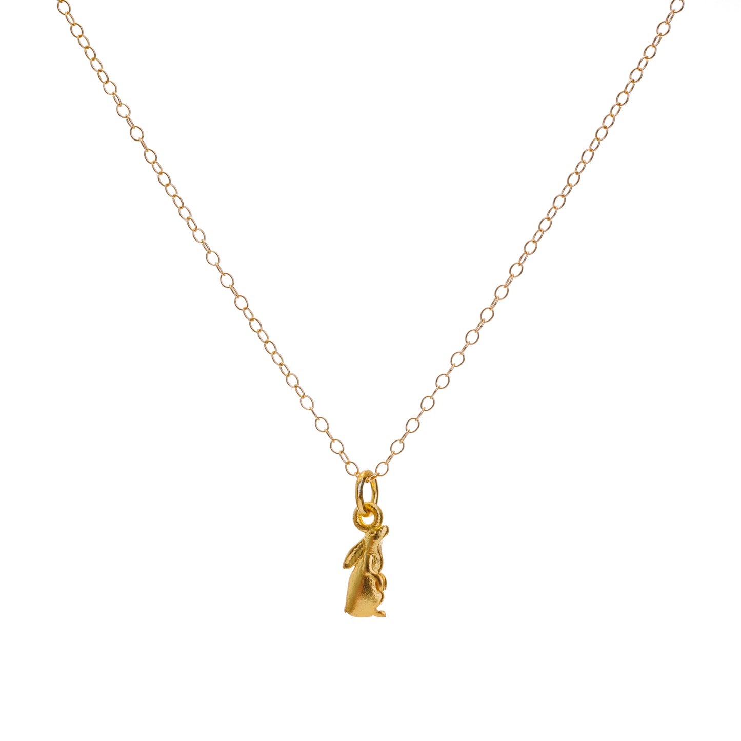 Gold Sun-Gazing Hare Charm Necklace