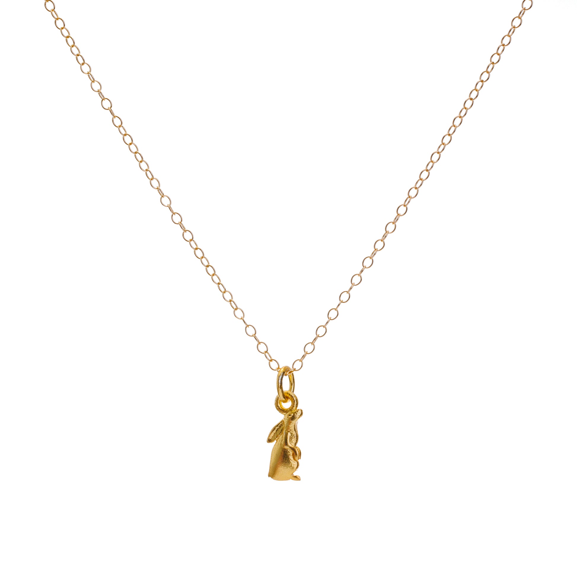 Gold Sun-Gazing Hare Charm Necklace