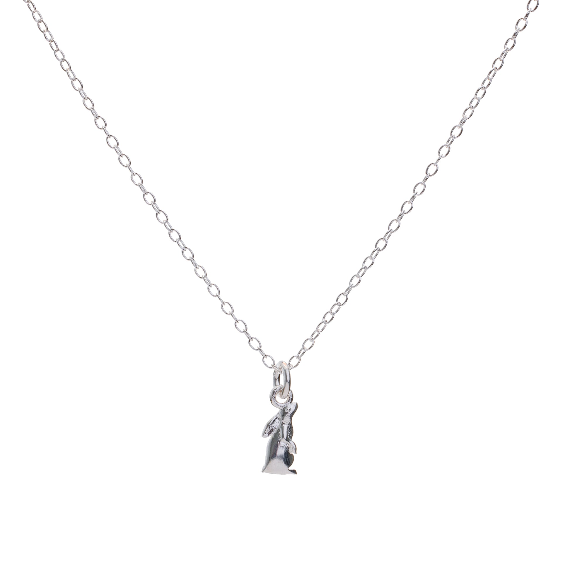 Silver Moon-Gazing Hare Charm Necklace